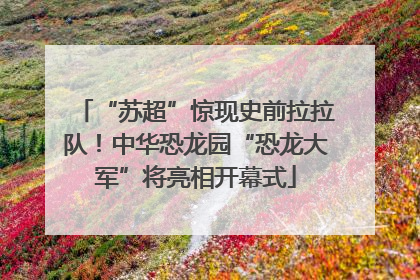 “苏超”惊现史前拉拉队！中华恐龙园“恐龙大军”将亮相开幕式