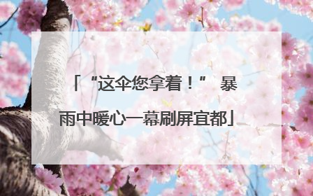 “这伞您拿着！” 暴雨中暖心一幕刷屏宜都