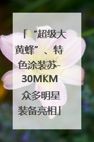 “超级大黄蜂”、特色涂装苏-30MKM 众多明星装备亮相