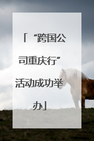“跨国公司重庆行”活动成功举办