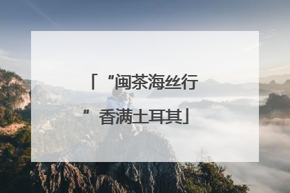 “闽茶海丝行”香满土耳其