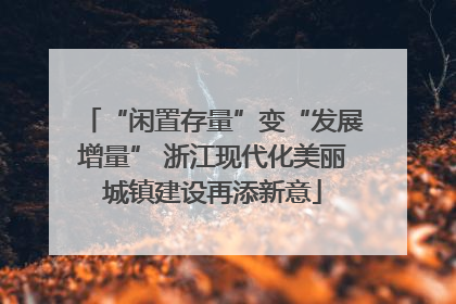 “闲置存量”变“发展增量” 浙江现代化美丽城镇建设再添新意