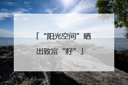 “阳光空间”晒出致富“籽”
