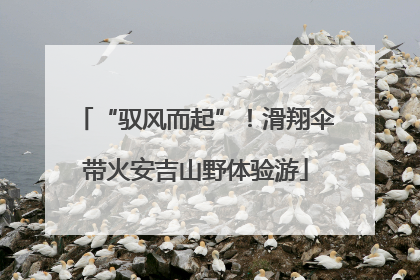 “驭风而起”！滑翔伞带火安吉山野体验游