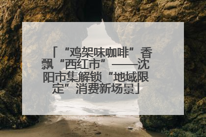“鸡架味咖啡”香飘“西红市”——沈阳市集解锁“地域限定”消费新场景