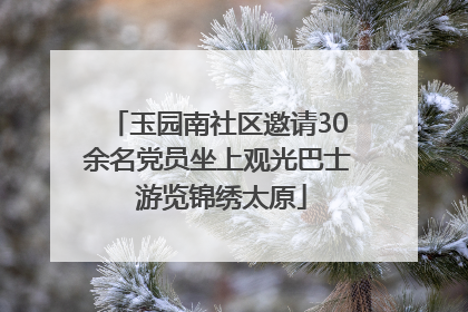 玉园南社区邀请30余名党员坐上观光巴士 游览锦绣太原