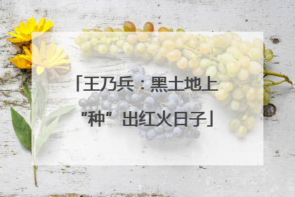 王乃兵：黑土地上“种”出红火日子