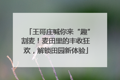 王哥庄喊你来“趣”割麦！麦田里的丰收狂欢，解锁田园新体验