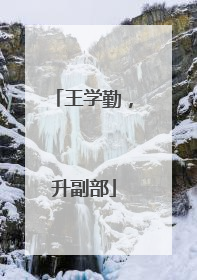 王学勤，升副部