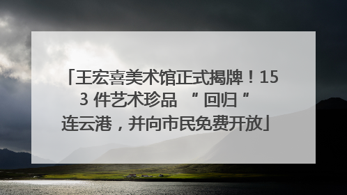 王宏喜美术馆正式揭牌！153 件艺术珍品 “ 回归 ” 连云港，并向市民免费开放