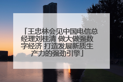 王忠林会见中国电信总经理刘桂清 做大做强数字经济 打造发展新质生产力的强劲引擎