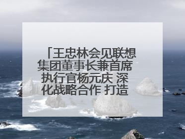王忠林会见联想集团董事长兼首席执行官杨元庆 深化战略合作 打造世界级光电子信息产业集群