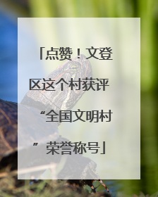 点赞！文登区这个村获评“全国文明村”荣誉称号