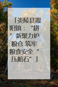 炎陵县霞阳镇：“耕”新聚力护粮仓 筑牢粮食安全“压舱石”