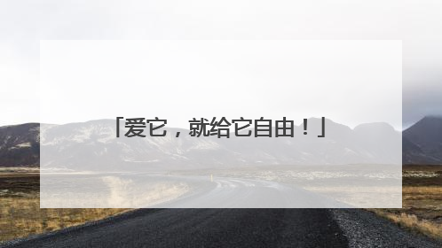 爱它，就给它自由！