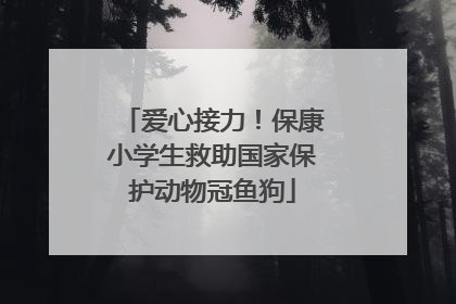 爱心接力！保康小学生救助国家保护动物冠鱼狗