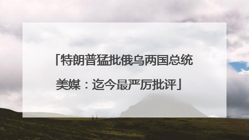 特朗普猛批俄乌两国总统 美媒：迄今最严厉批评