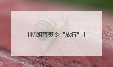 特朗普签令“放行”