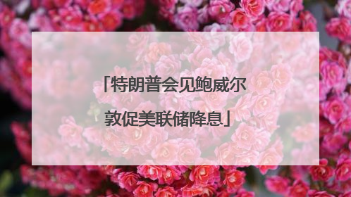 特朗普会见鲍威尔 敦促美联储降息