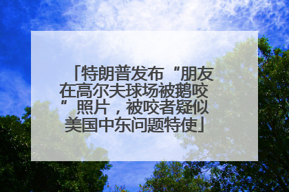 特朗普发布“朋友在高尔夫球场被鹅咬”照片，被咬者疑似美国中东问题特使