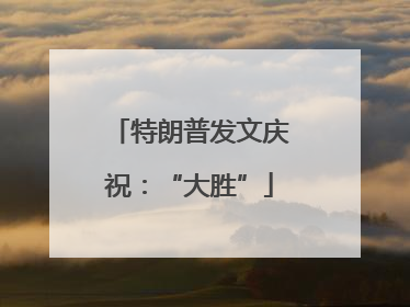 特朗普发文庆祝：“大胜”