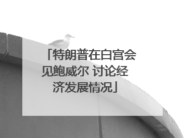 特朗普在白宫会见鲍威尔 讨论经济发展情况