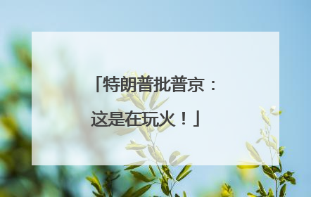 特朗普批普京：这是在玩火！