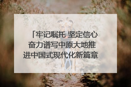 牢记嘱托 坚定信心 奋力谱写中原大地推进中国式现代化新篇章（六）河南绘就“行走河南·读懂中国”新画卷丨牢记嘱托谱新篇