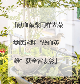 献血献浆同样光荣 娄底这群“热血英雄”获全省表彰
