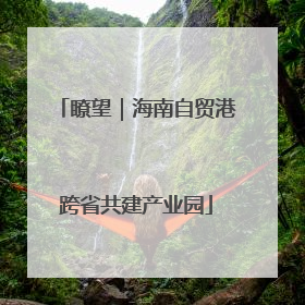 瞭望｜海南自贸港跨省共建产业园