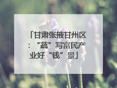 甘肃张掖甘州区：“蔬”写富民产业好“钱”景