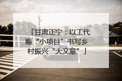 甘肃正宁：以工代赈“小项目”书写乡村振兴“大文章”