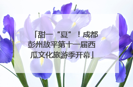 甜一“夏”！成都彭州敖平第十一届西瓜文化旅游季开幕