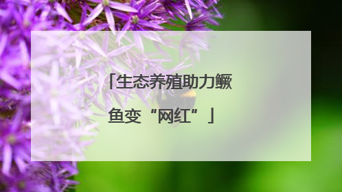 生态养殖助力鳜鱼变“网红”