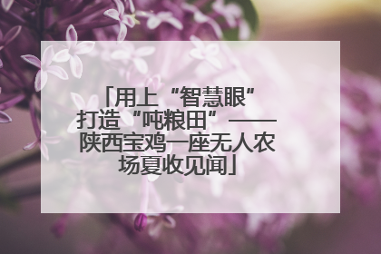 用上“智慧眼” 打造“吨粮田”——陕西宝鸡一座无人农场夏收见闻