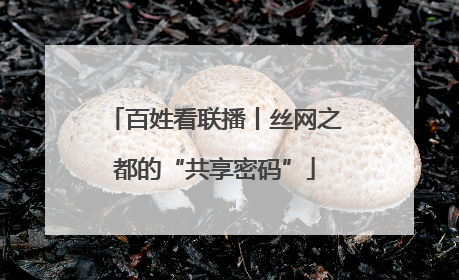 百姓看联播丨丝网之都的“共享密码”