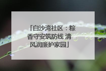 白沙湾社区：粽香守安筑防线 清风润廉护家园
