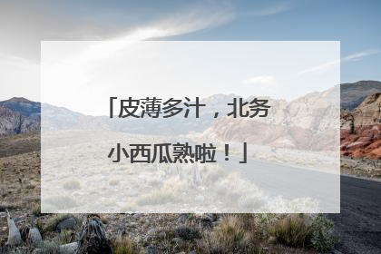 皮薄多汁，北务小西瓜熟啦！
