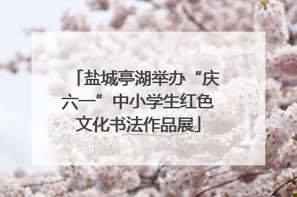 盐城亭湖举办“庆六一”中小学生红色文化书法作品展