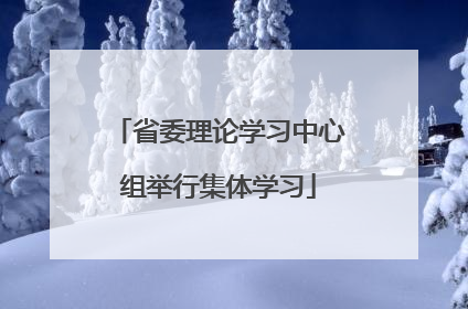 省委理论学习中心组举行集体学习