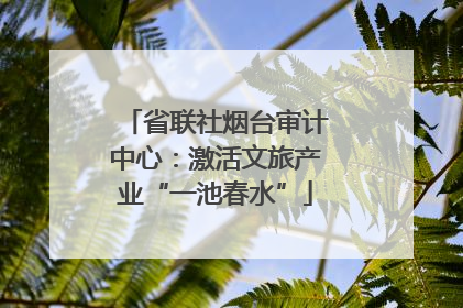 省联社烟台审计中心：激活文旅产业“一池春水”