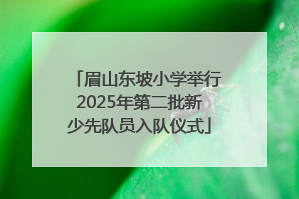 眉山东坡小学举行2025年第二批新少先队员入队仪式