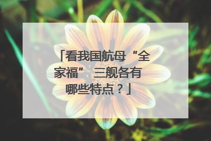 看我国航母“全家福” 三舰各有哪些特点？