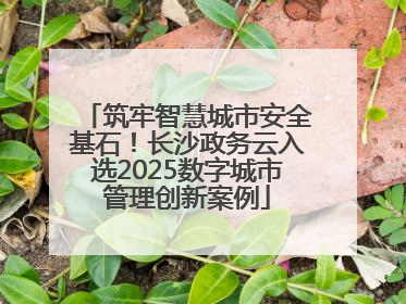 筑牢智慧城市安全基石！长沙政务云入选2025数字城市管理创新案例