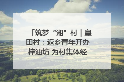 筑梦“湘”村｜皇田村：返乡青年开办榨油坊 为村集体经济“加油”