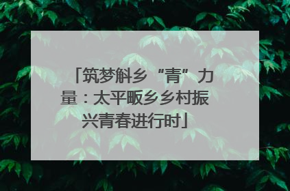 筑梦斛乡“青”力量：太平畈乡乡村振兴青春进行时