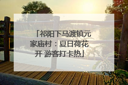 祁阳下马渡镇元家庙村：夏日荷花开 游客打卡热