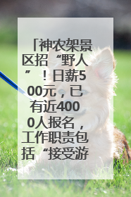 神农架景区招“野人”！日薪500元，已有近4000人报名，工作职责包括“接受游客投喂”