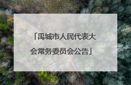 禹城市人民代表大会常务委员会公告
