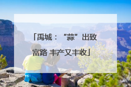 禹城：“蒜”出致富路 丰产又丰收